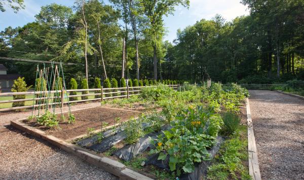 Enjoy fresh veggies from the community garden