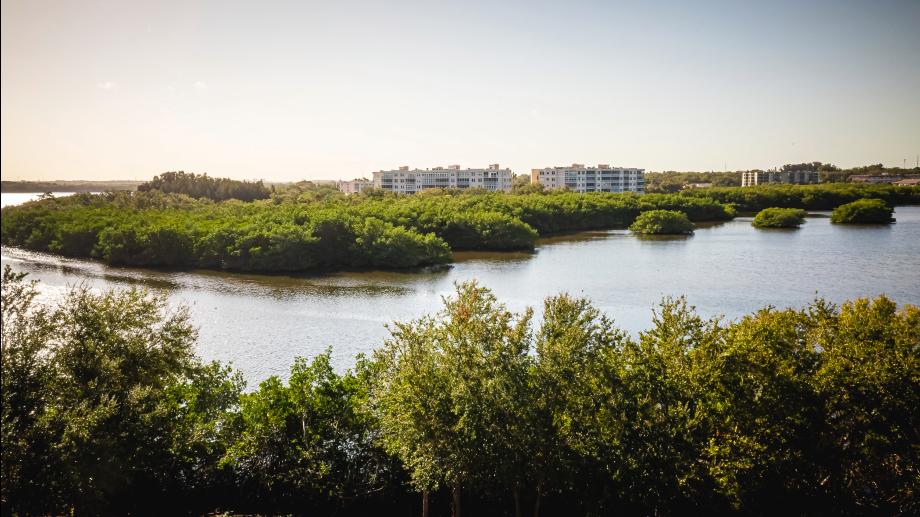 Toll Brothers - Toll Brothers at Seminole Isle