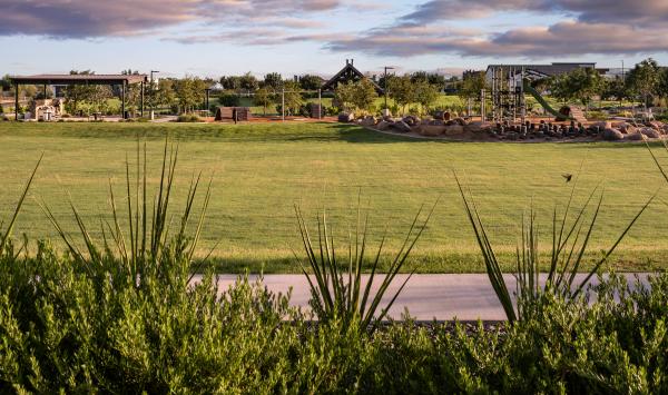 Community greenspace for outdoor activities