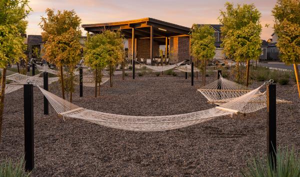 Hammocks for residents to relax and enjoy Arizona weather