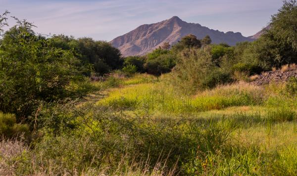 Community access to Queen Creek Wash Trail