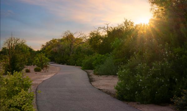 Beautiful walking, biking, and equestrian trails on the Queen Creek Wash Trail