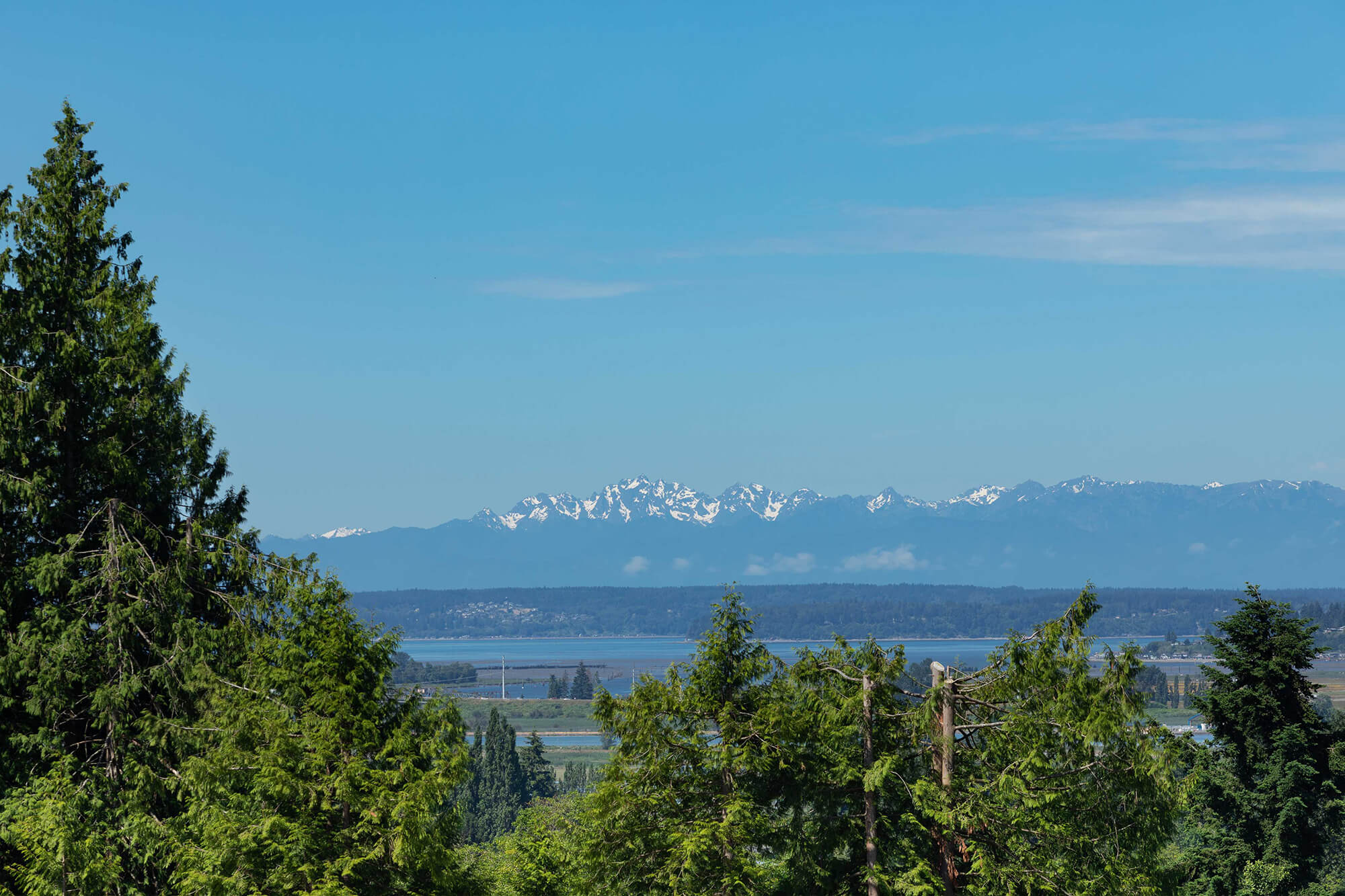 Washington skyline