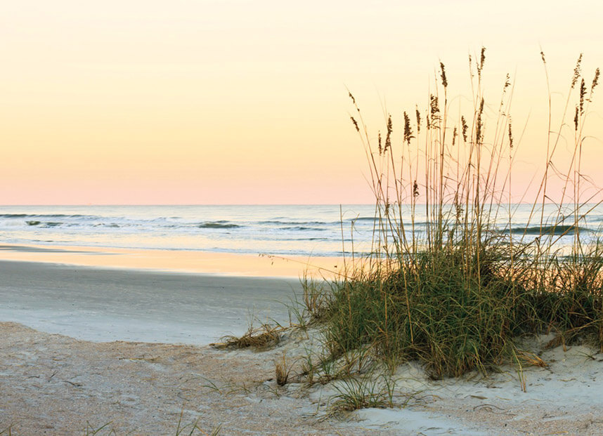 Beach in Naples Florida