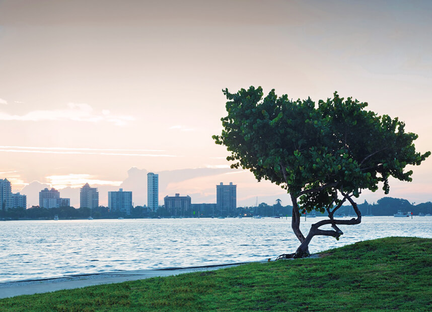 View from Bird Key Park in Sarasota Florida