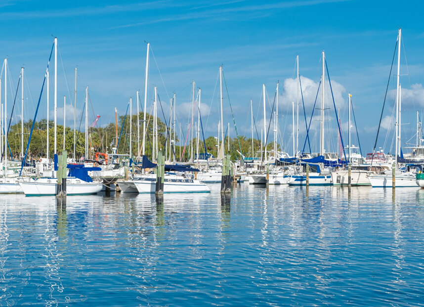 Harbor in Tampa Florida