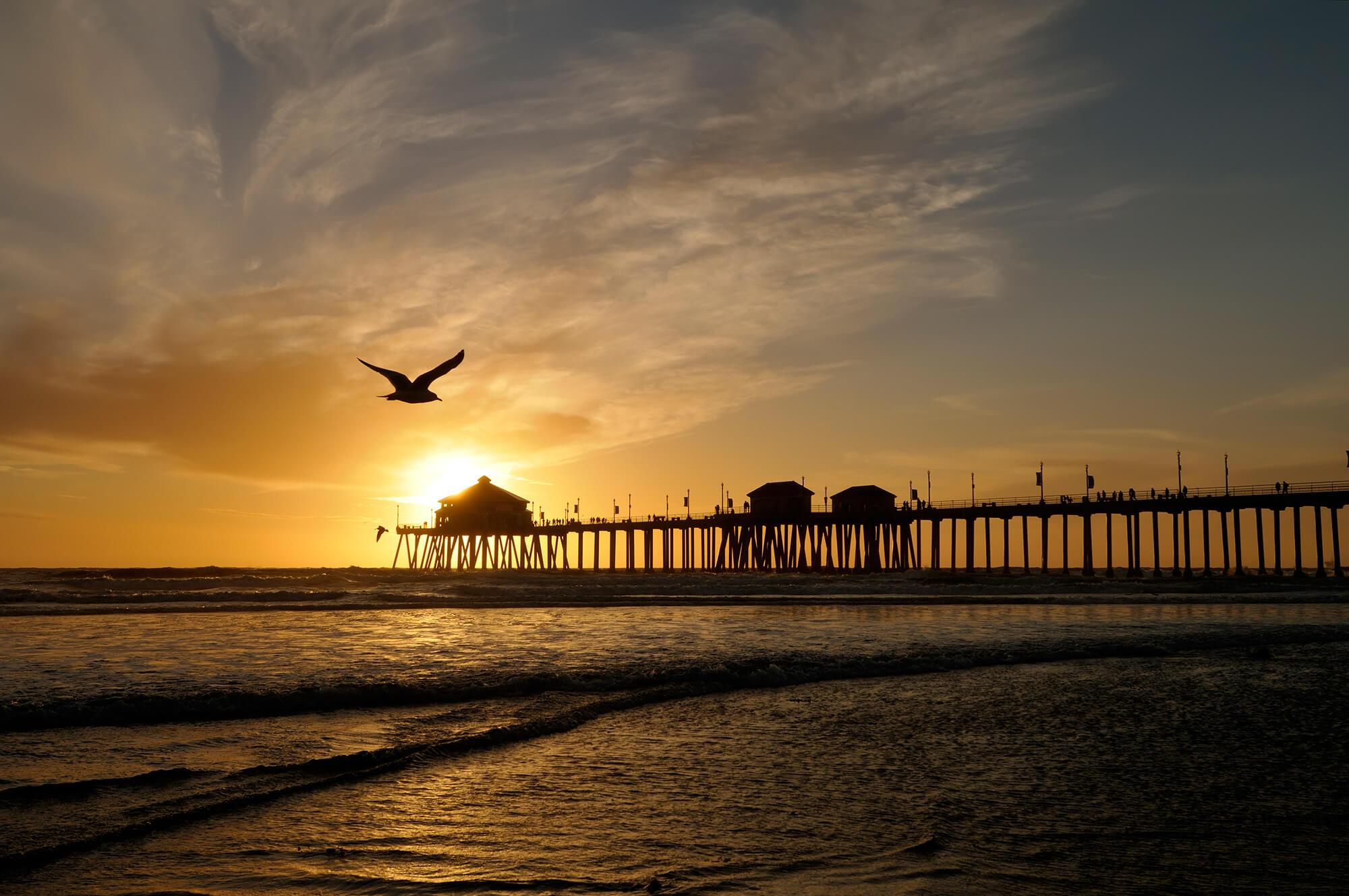 California skyline