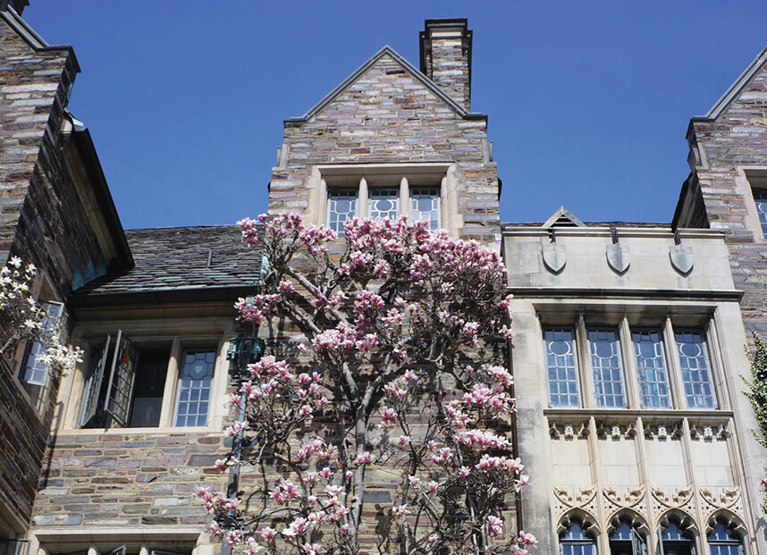 Princeton University building