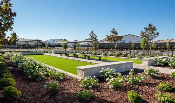 Challenge neighbors to a game of bocce ball