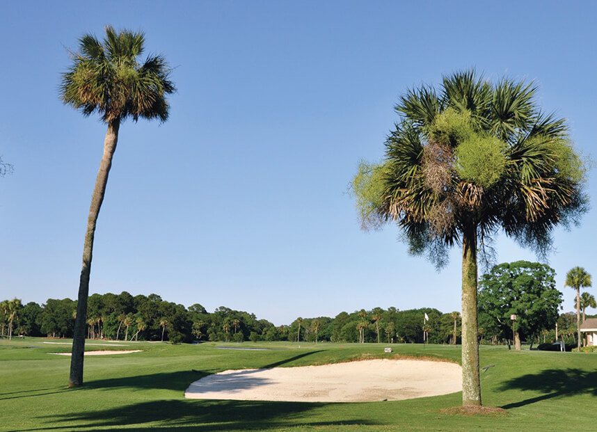 Sea Pines golf course