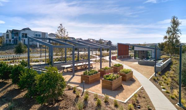 Community Garden