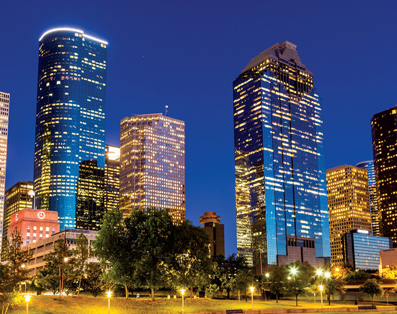 Memorial Park Houston Skyline