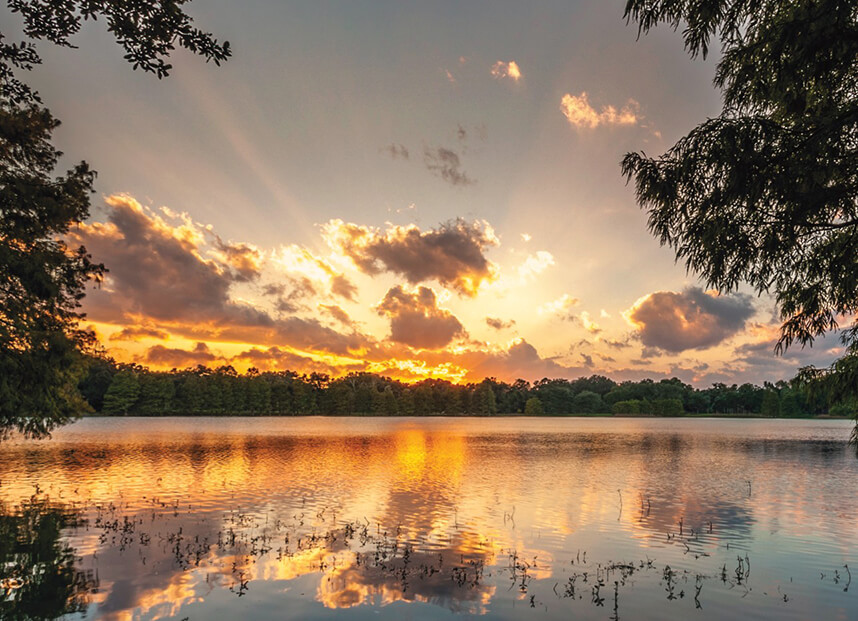 Sunsetting in Orlando, FL