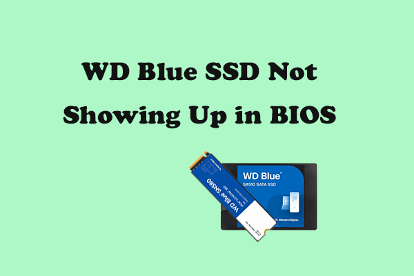 [8 Methods] How to Fix WD Blue SSD Not Showing Up in BIOS?